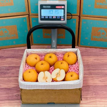 Asian Pear - Korean Pear BoxMedium (8 Pounds)